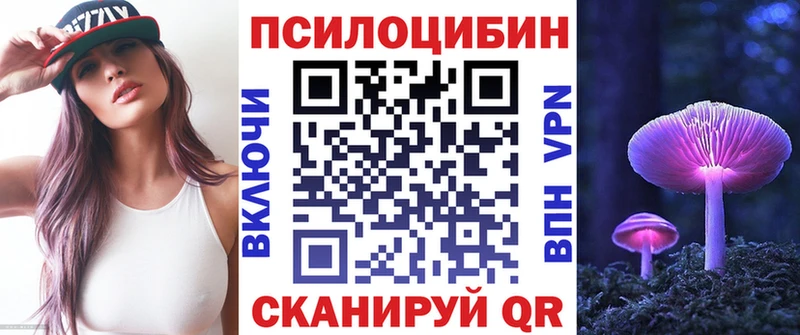 где купить   Междуреченск  Псилоцибиновые грибы Psilocybine cubensis 